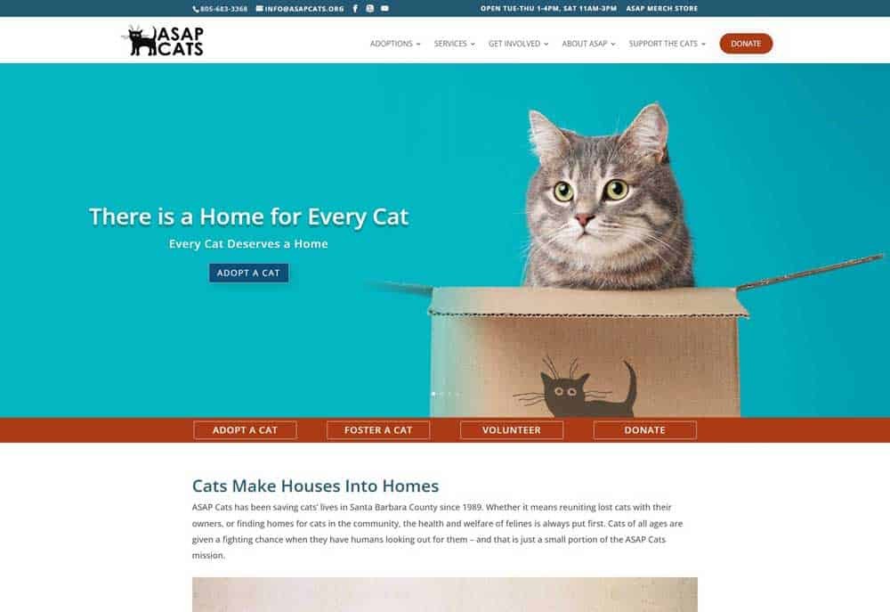 Websites for Nonprofits: ASAPCats Goleta Websites for Nonprofits: ASAPCats Goleta